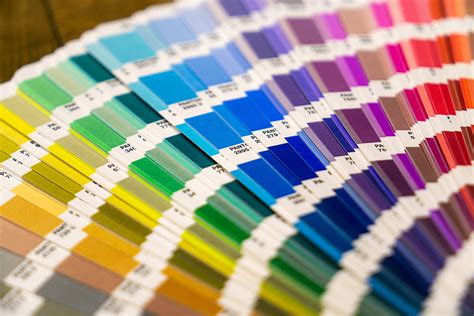 Choosing the Perfect Color Scheme for Your Nonprofit: Elevating .